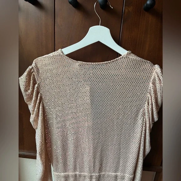 NWT IRO LouLou Sequin Dress in Blush Pink (Size:38/6) - Picture 12 of 15